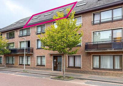 In het centrum van Heusden bevindt zich deze studio / dakappartement, gelegen op een centrale en vlot bereikbare locatie, nabij winkels, openbaar vervoer en andere voorzieningen.

Het appartement beschikt over een EPC-label C en is sinds 2018 ononderbroke