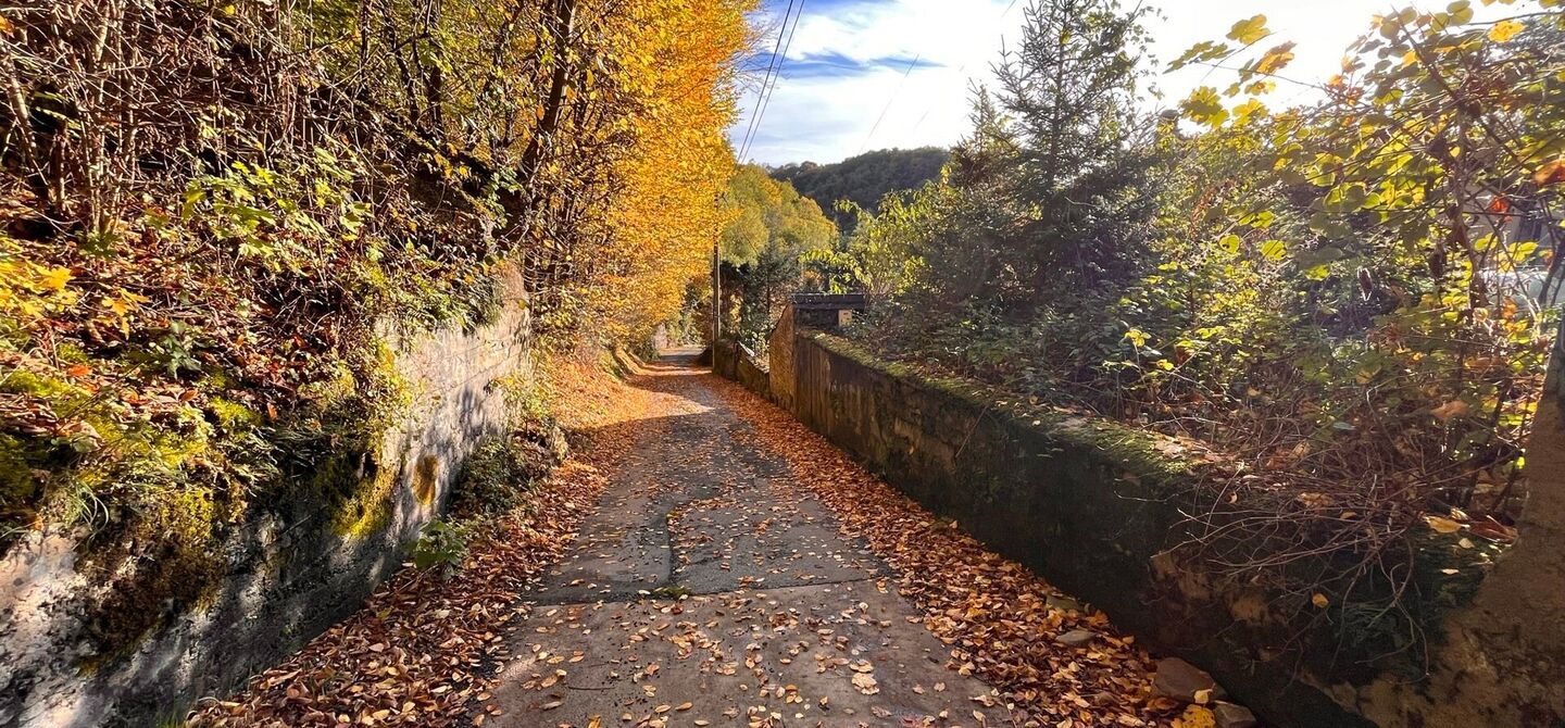 Gebouw voor gemengd gebruik te koop in Sprimont