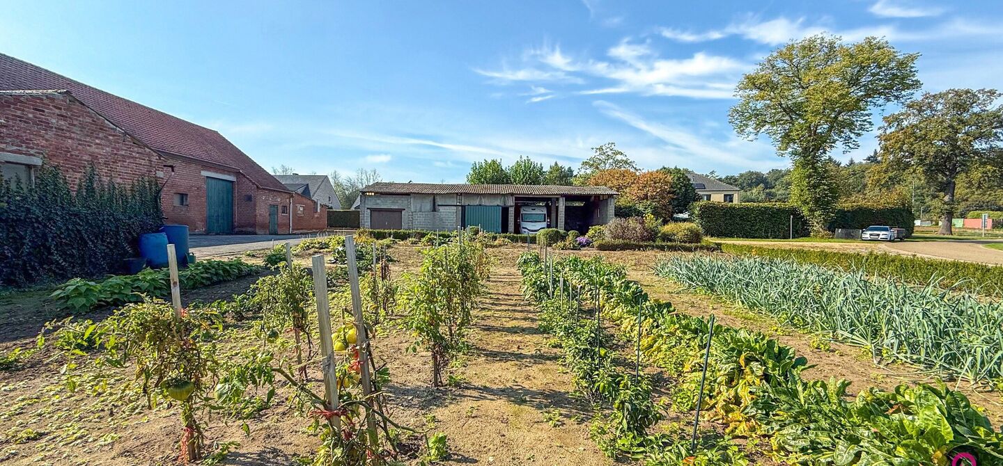 Hoeve te koop in Heusden-Zolder