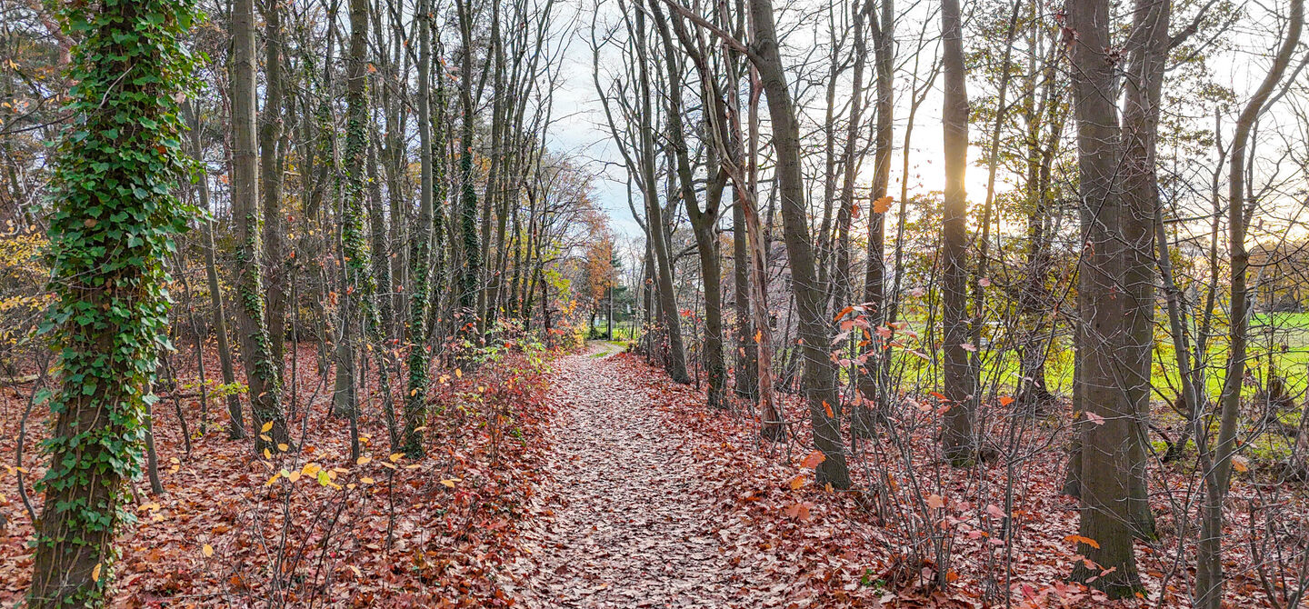 Bij ImmoFusion 7/7 “open huis”: klik op onze 3D-TOUR.
Ervaar vastgoed alsof je er zelf doorloopt!
Ontdek deze uitzonderlijk gelegen vrijstaande woning in de rustige, bosrijke omgeving van Paal. Wie houdt van natuur, privacy en een fenomenale perceelo