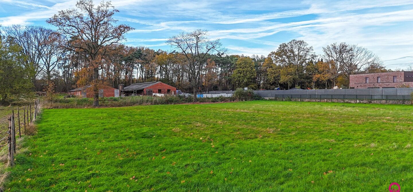 Bij ImmoFusion 7/7 “open huis”: klik op onze 3D-TOUR.
Ervaar vastgoed alsof je er zelf doorloopt!
Ontdek deze uitzonderlijk gelegen vrijstaande woning in de rustige, bosrijke omgeving van Paal. Wie houdt van natuur, privacy en een fenomenale perceelo