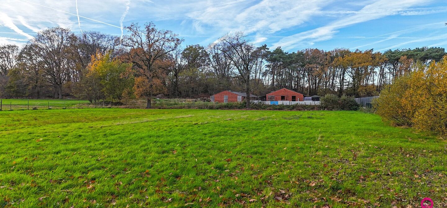 Bij ImmoFusion 7/7 “open huis”: klik op onze 3D-TOUR.
Ervaar vastgoed alsof je er zelf doorloopt!
Ontdek deze uitzonderlijk gelegen vrijstaande woning in de rustige, bosrijke omgeving van Paal. Wie houdt van natuur, privacy en een fenomenale perceelo