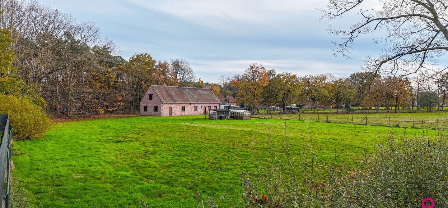 Bij ImmoFusion 7/7 “open huis”: klik op onze 3D-TOUR.
Ervaar vastgoed alsof je er zelf doorloopt!
Ontdek deze uitzonderlijk gelegen vrijstaande woning in de rustige, bosrijke omgeving van Paal. Wie houdt van natuur, privacy en een fenomenale perceelo