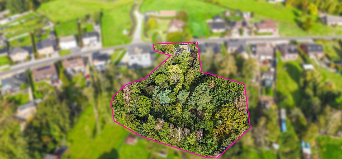 Sommige woningen voelen meteen als thuiskomen. Deze bijzondere architectuurwoning in Koersel combineert ruimte, comfort, licht en karakter met een uitzonderlijk groene omgeving. Gelegen op een riant perceel van maar liefst 58 are, geniet je achteraan van 