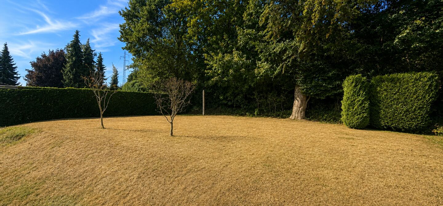 Kom deze prachtige woning vrijblijvend ontdekken tijdens onze opendeurdag.
Zaterdag 5 september van 10u tot 12u.
Deze ruime woning werd volledig opgefrist in 2025 en biedt een aangename combinatie van comfort, ruimte en functionaliteit. De woning beschik