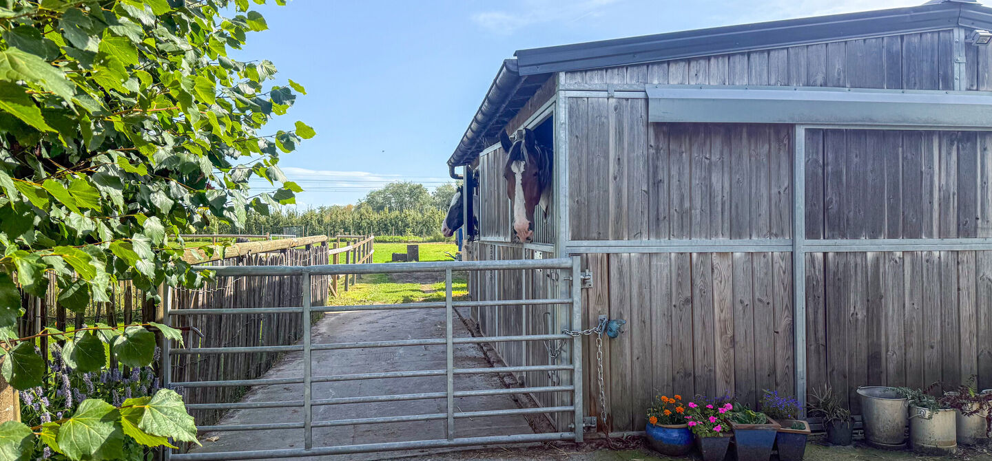 Huis te koop in Sint-Truiden